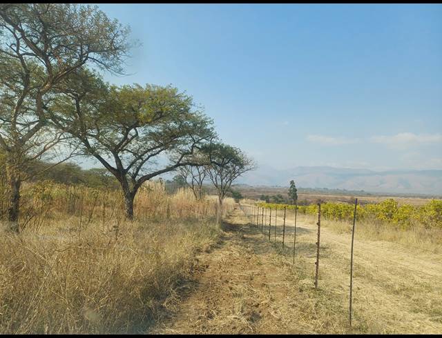 20HA FARM FOR SALE IN NELSPRUIT RURAL